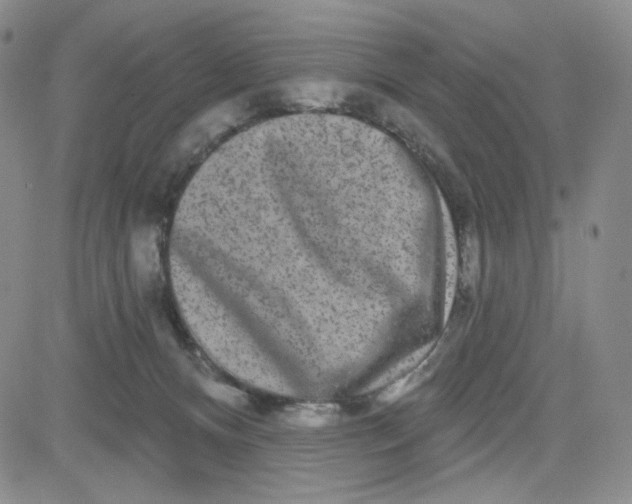 X0000080770128200701021132