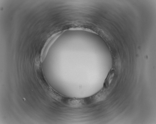 X0000080770129200701021132