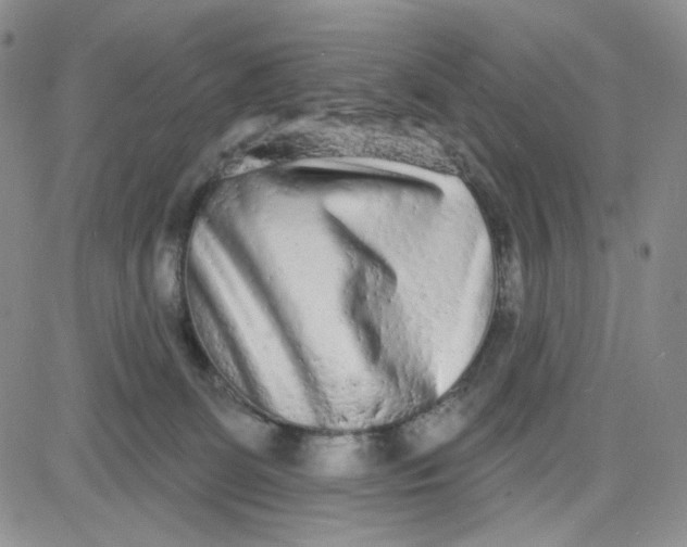 X0000080770131200701021132