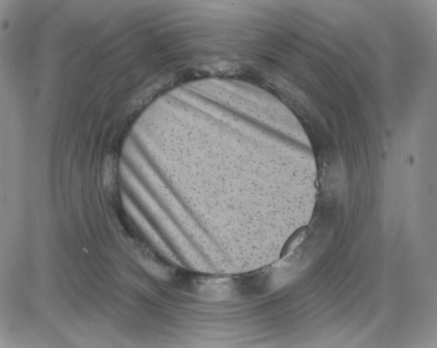 X0000080770132200701021132