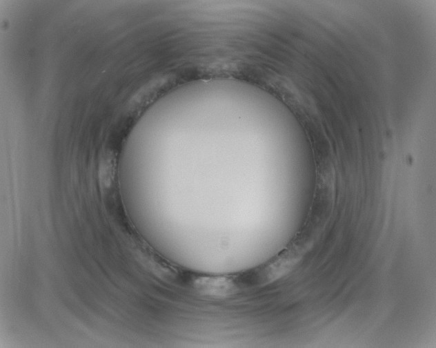 X0000080770133200701021132