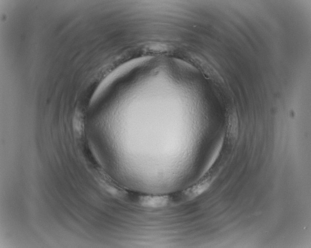 X0000080770135200701021132