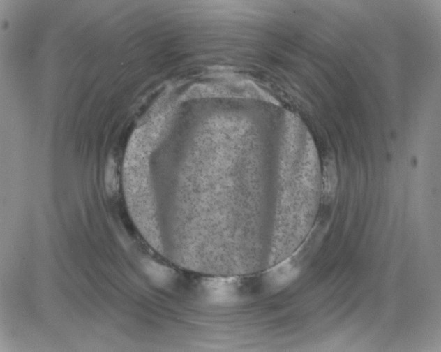 X0000080770136200701021132