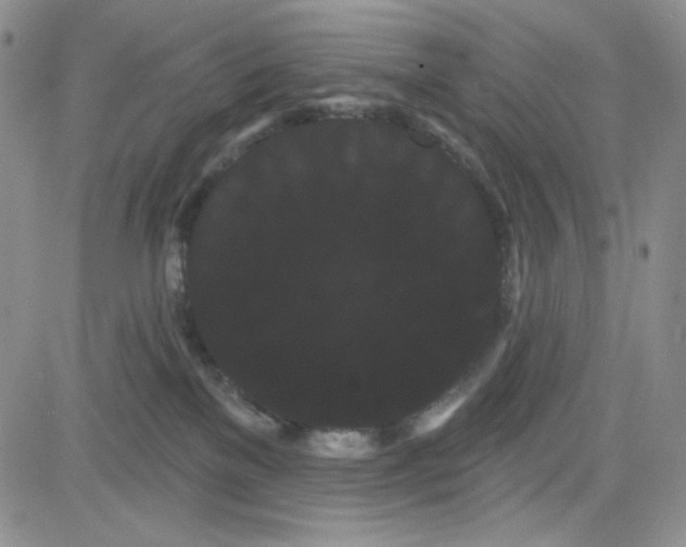 X0000080770137200701021132