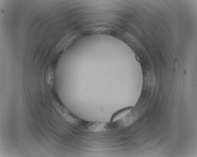 X0000080770138200701021132