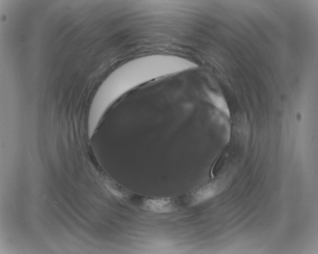 X0000080770139200701021132