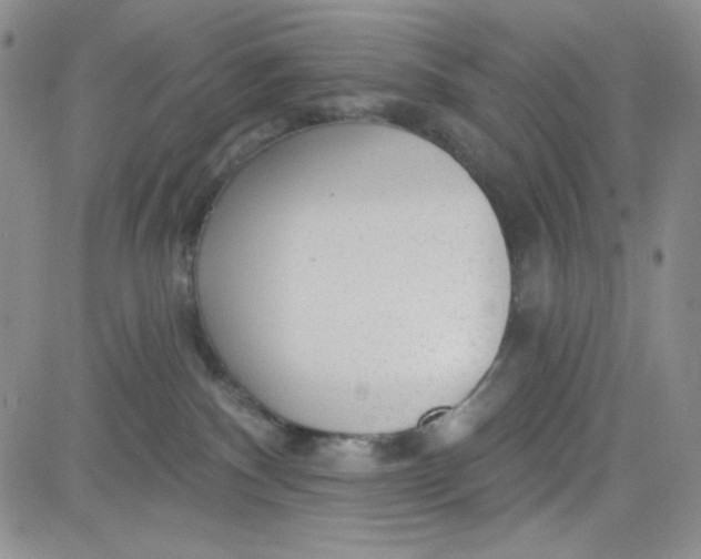 X0000080770140200701021131