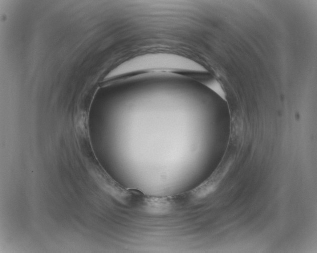 X0000080770141200701021131