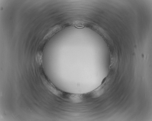 X0000080770142200701021131