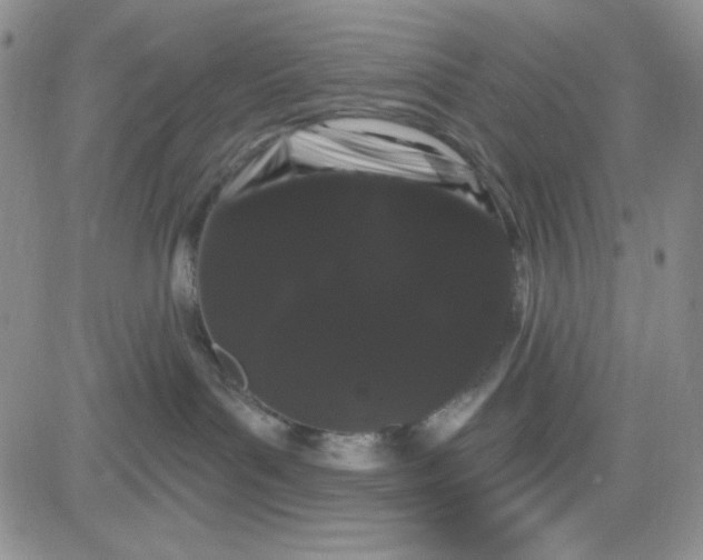 X0000080770143200701021131