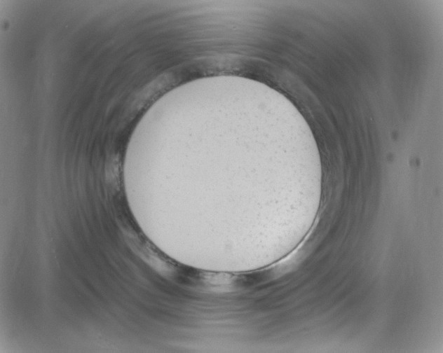 X0000080770144200701021131