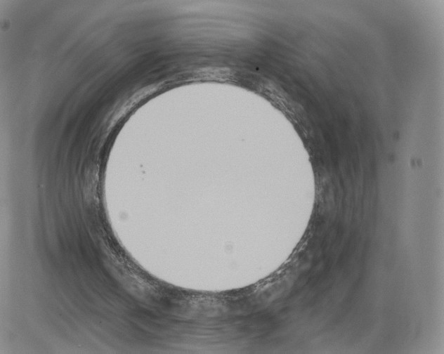 X0000080770146200701021131