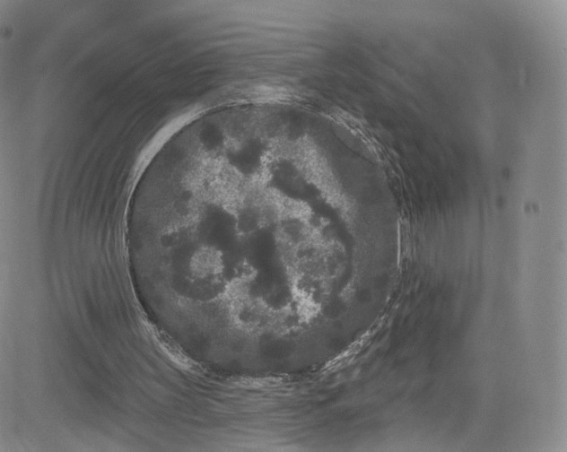 X0000080770147200701021131