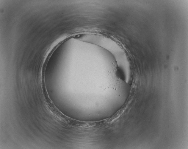 X0000080770148200701021131