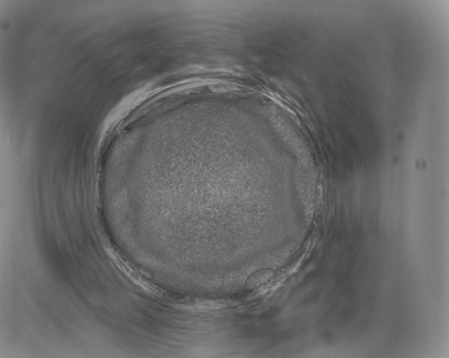 X0000080770149200701021131