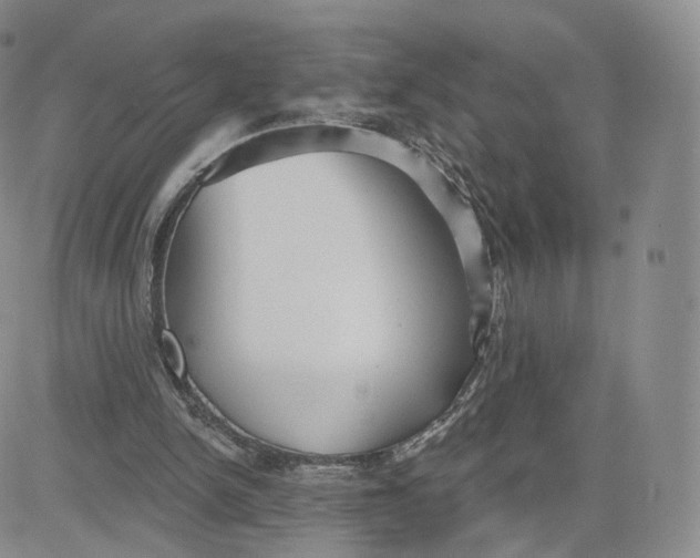 X0000080770150200701021131