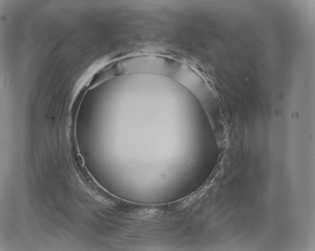 X0000080770152200701021131