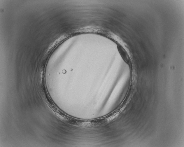 X0000080770153200701021131