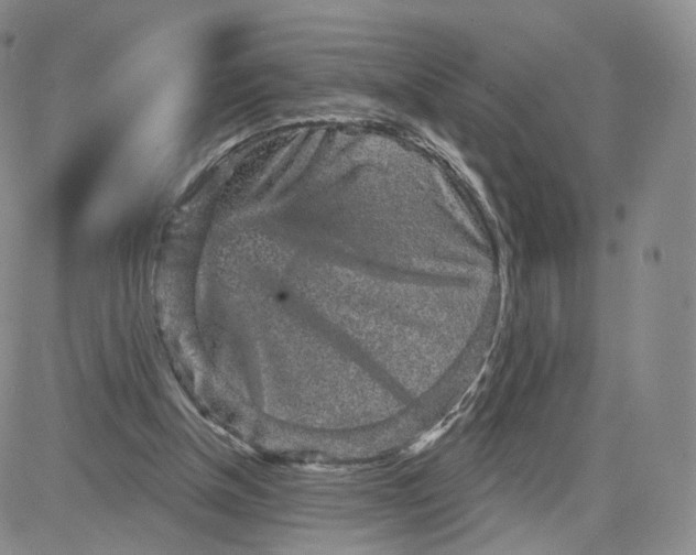 X0000080770154200701021131