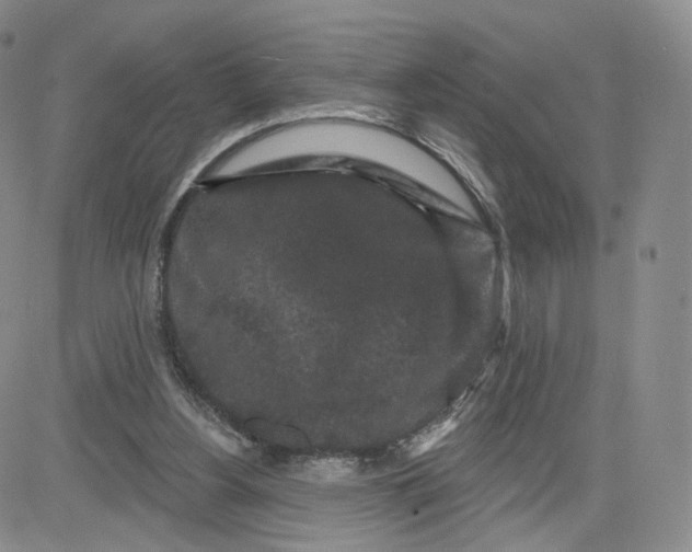 X0000080770156200701021131