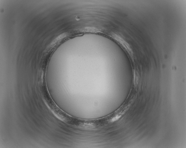 X0000080770157200701021131