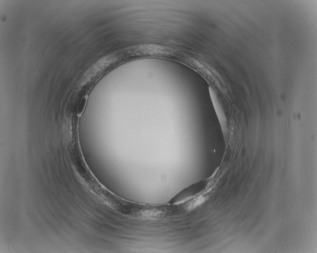 X0000080770158200701021131