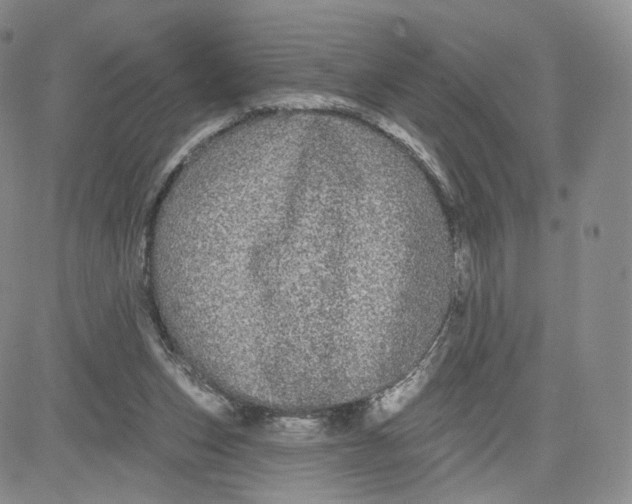 X0000080770159200701021131