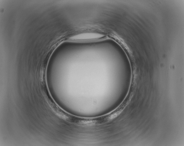 X0000080770161200701021131