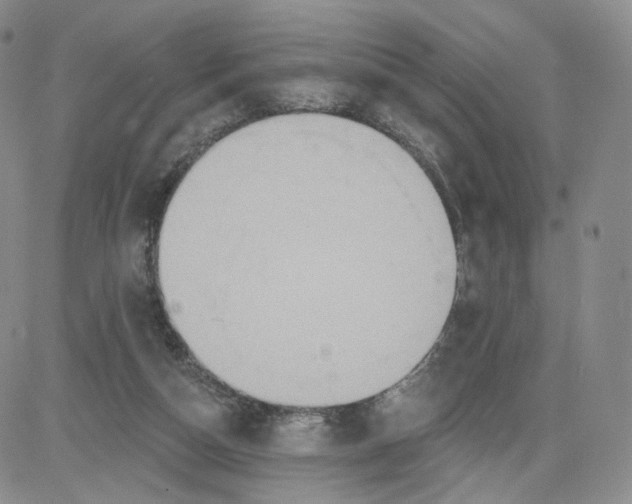 X0000080770162200701021131