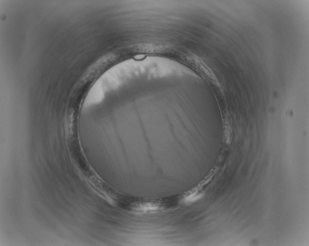 X0000080770163200701021131