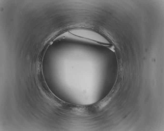 X0000080770164200701021131