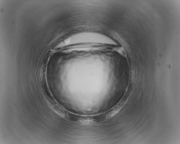 X0000080770165200701021131