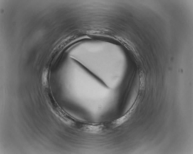 X0000080770166200701021131