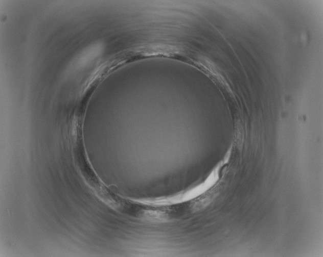 X0000080770167200701021131