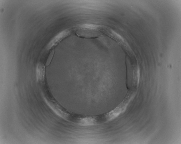 X0000080770168200701021131