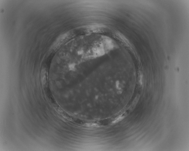 X0000080770169200701021131