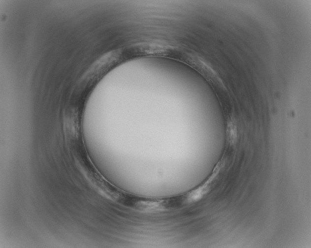 X0000080770170200701021131