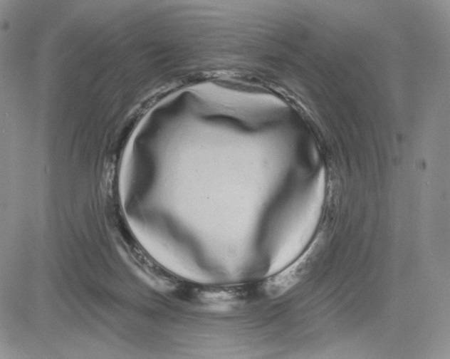 X0000080770171200701021131