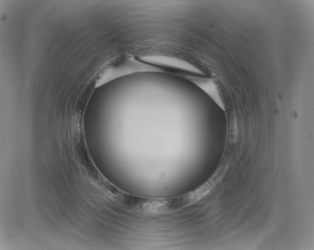 X0000080770172200701021131