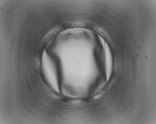 X0000080770173200701021131