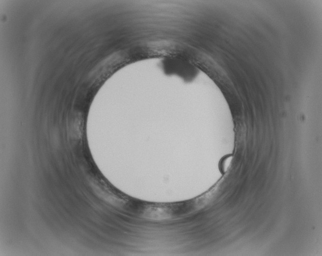 X0000080770174200701021131