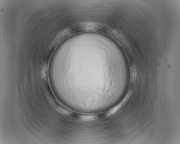 X0000080770175200701021131