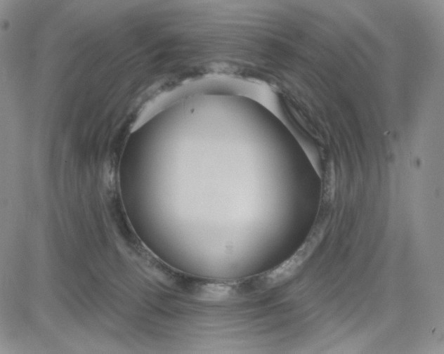 X0000080770176200701021131