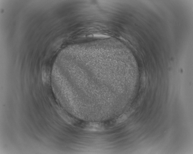 X0000080770177200701021131