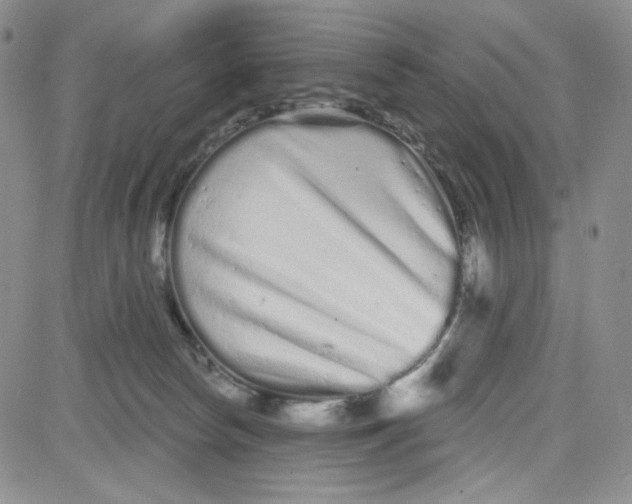 X0000080770178200701021131