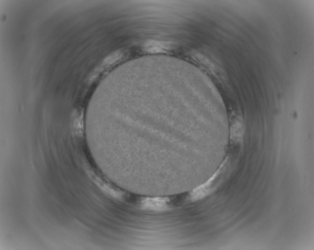 X0000080770179200701021131