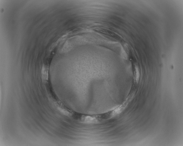 X0000080770180200701021131