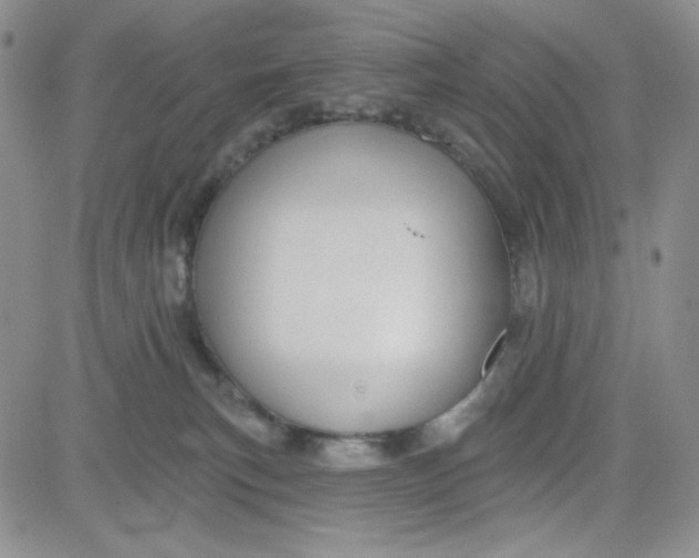 X0000080770183200701021131