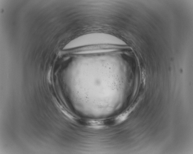 X0000080770185200701021131