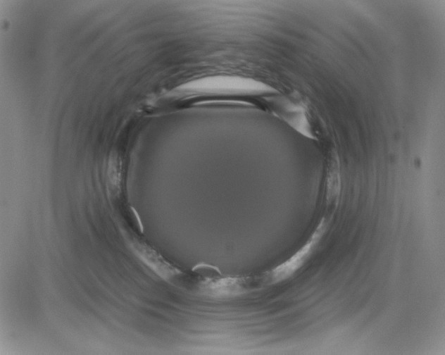 X0000080770186200701021131